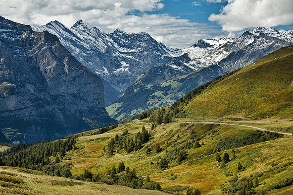 Mountain Bliss