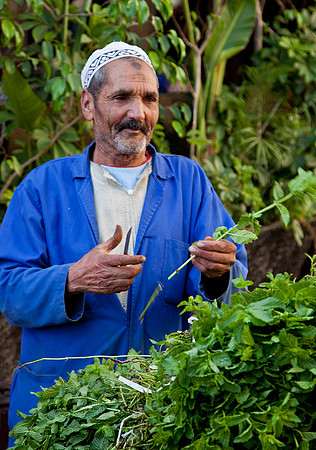 The Mint Vendor - Oarzazate