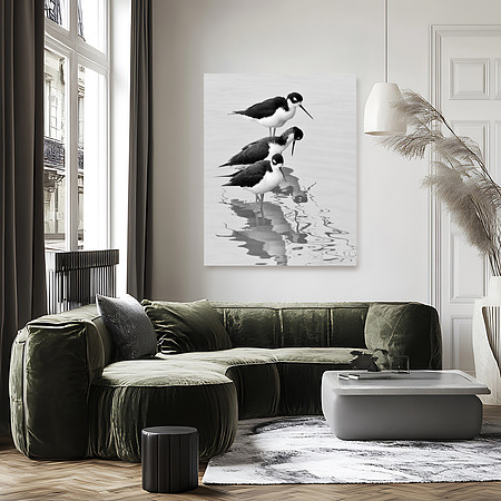 This quiet decor includes a black & white image from Americas Tab / Birds of the Rio Grande gallery.