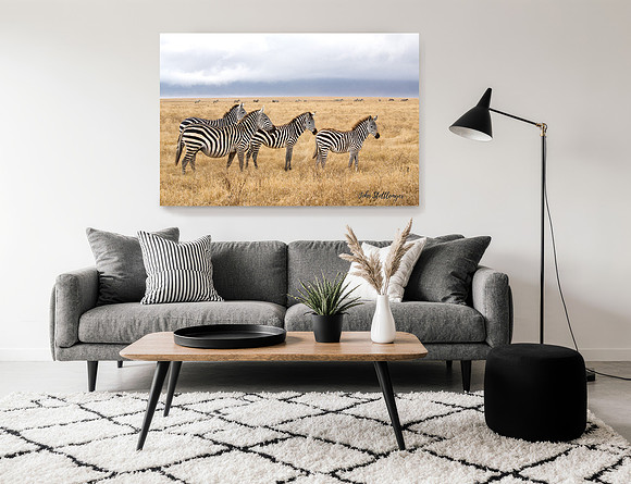 Featured is an image found under the Europe Africa & Asia Tab / East Africa  Gallery.