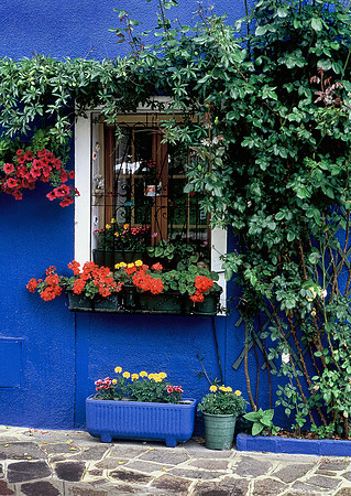 Casa Blue