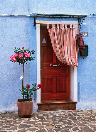 Rose Doorway