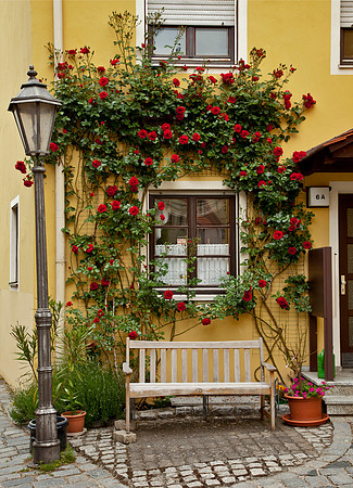 Rosy Exterior