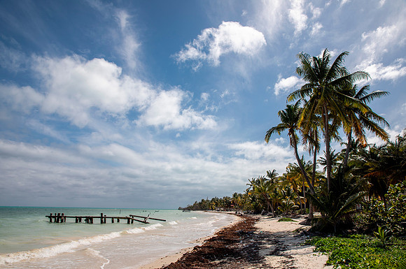 Beach & Palm Trees - Sian Ka'an Reserve