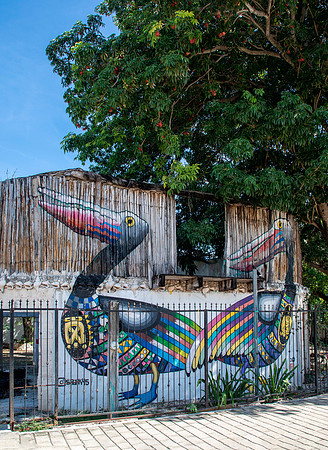 Pelican Mural - Tulum