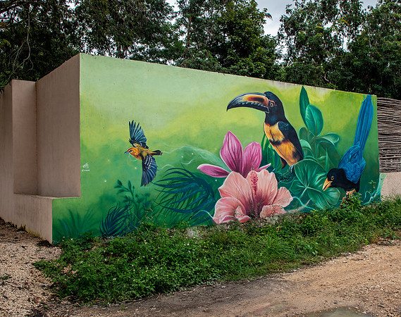Mural - Tulum (artist unknown)