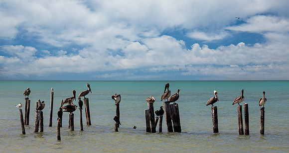 Fishing Break - Playa Holbox