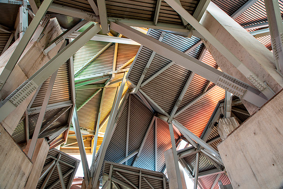 Interior View of Roof Structure - BioMuseo