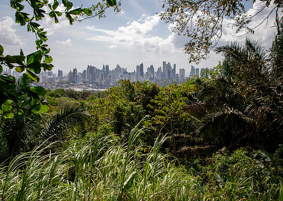 Panama City from Parque Naturale Metropolitano