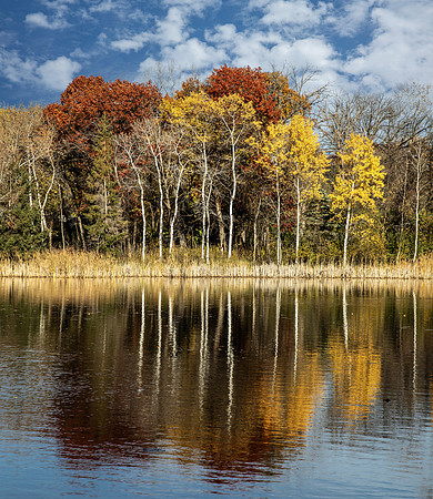 Autumn Mirror - Minnesota