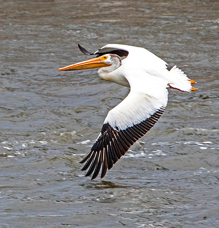 Low-Flying