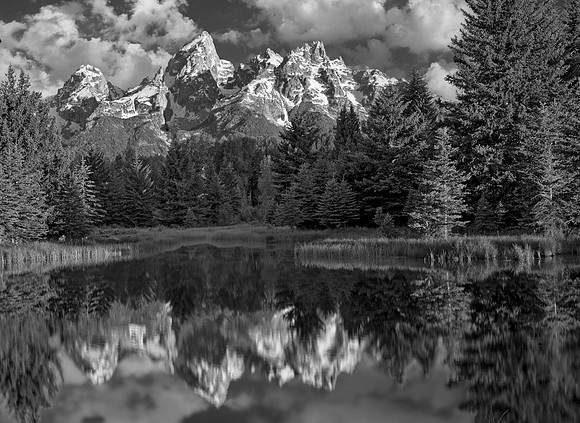 Schwabacher Landing - Grand Tetons NP