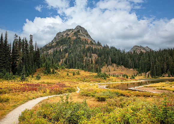 Goat Rocks Wilderness - North Cascades, WA