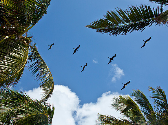 Frigate Flyby