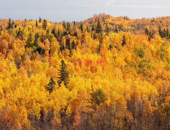 Chroma Riot - North Shore, Lake Superior