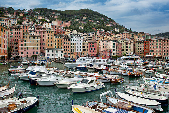 Harborside - Camogli