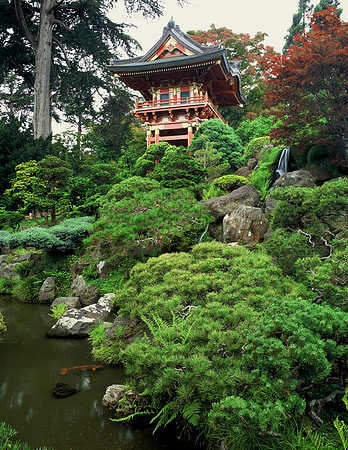 Japanese Tea Garden - San Francisco