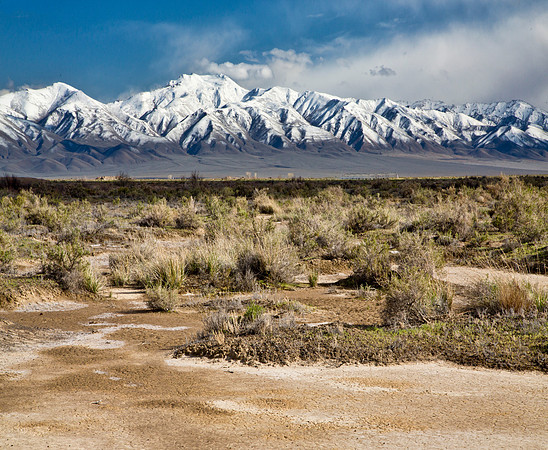 Shoshone Range - Northern Nevada