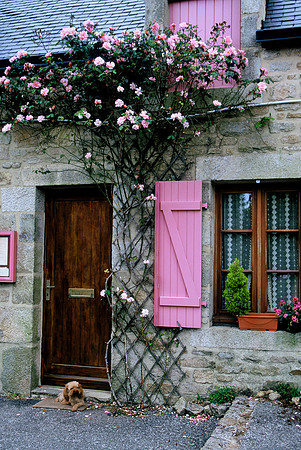 "Guard Dog" - Locronan, Scotland