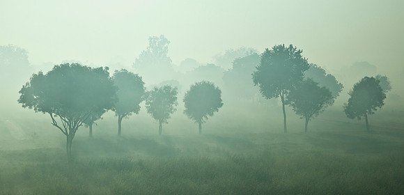 Morning Mist Panoramic - South India