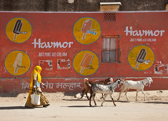 Goatherder & Havmor Ice Cream- Rajasthan