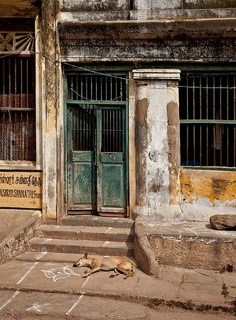 Storefront & Dog - Madurai