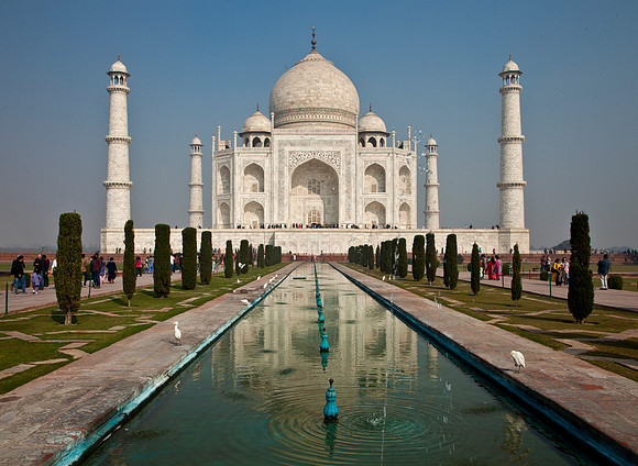 Taj Mahal & Egrets - Agra, India