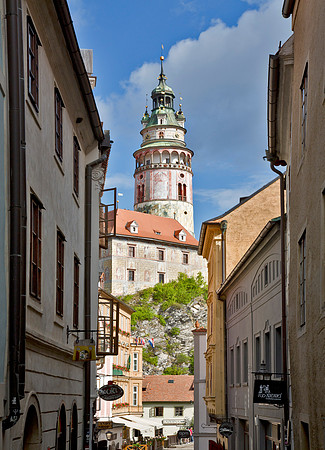 Tower View