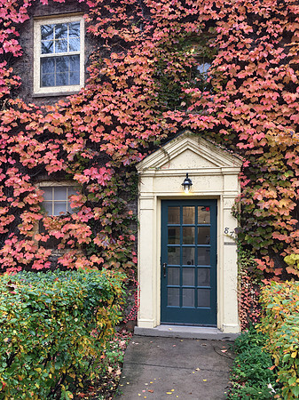 Vine Covered Cottage - Highland Park