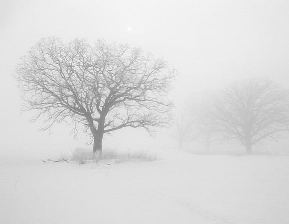 December Fog - Minnesota Prairie