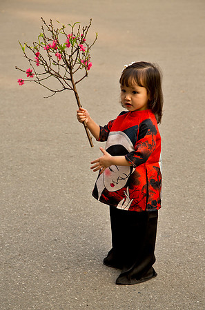 Littlest Reveler - Lunar New Year