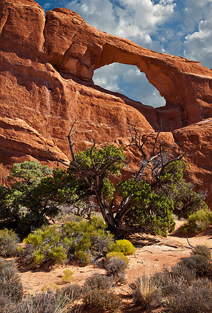 Skyline Arch