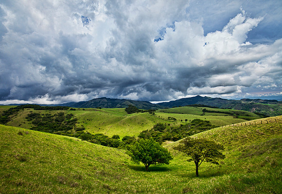 Hills of Monte Verde