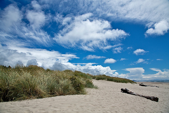 Seagrass & Cumulus Clouds