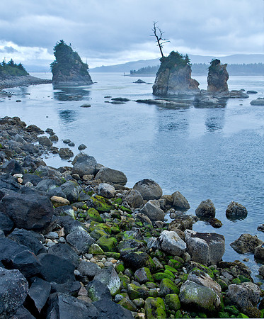 Misty Afternoon - Oregon Coast