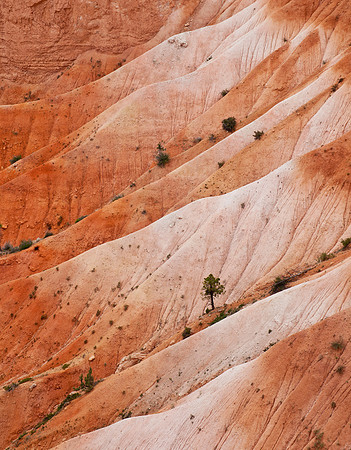 Ridges in Rhythm