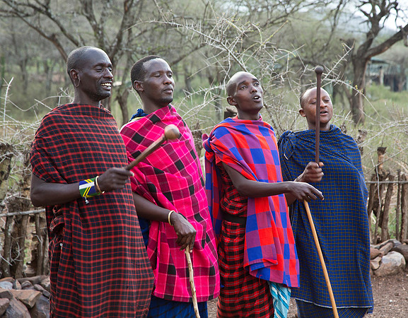 Chanting with Rungu Sticks - Serengeti