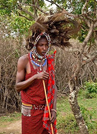 Warrior with Ostrich Feather Headdress