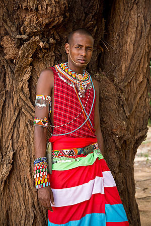 Warrior - Mara River, Kenya