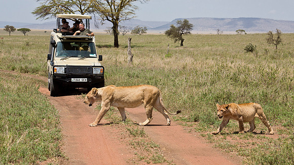 Right of Way