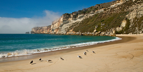 Beach & Cliffs - Nazare