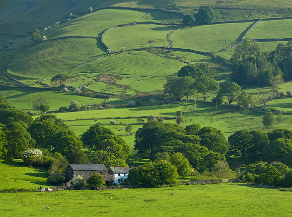 Lakes District Pastoral
