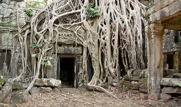 Doorway & Strangler Ficus - Ta Prohm Temple, Angkor Wat, Cambodia