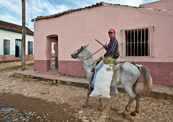 Horse & Rider - Trinidad
