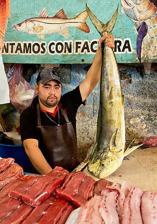 Fishmonger - Mercado Campesino
