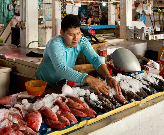 Fishmonger - Mercado Municipal