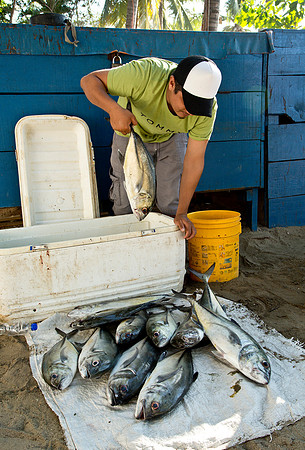 Displaying the Catch