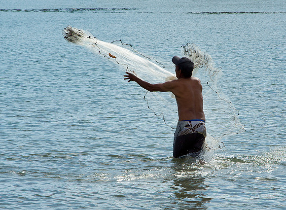 Surf Fisherman