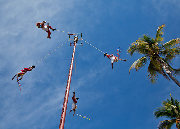 Voladores in Flight