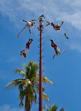 Voladores in Flight II